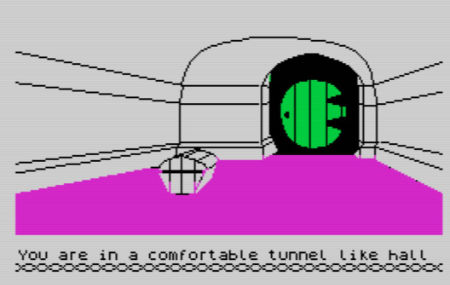 You are in a comfortable tunnel-like hall. (Screen image from The Hobbit adventure game.)
